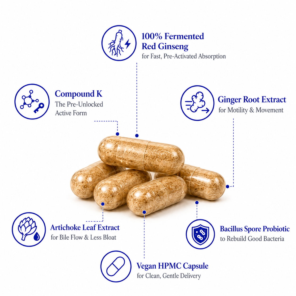 Fermented Red Ginseng